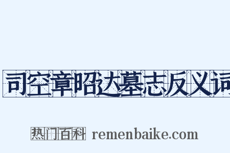 司空章昭达墓志反义词是什么意思的图片